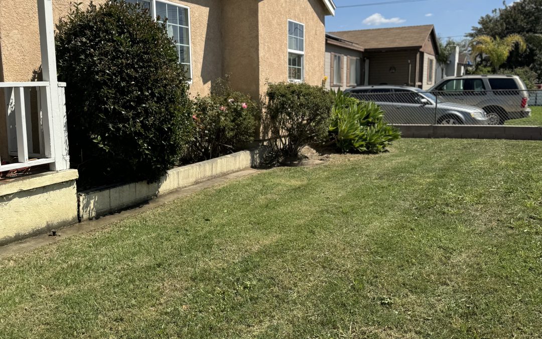 The Importance of Maintaining a Lawn for Healthy Grass: Lawn Care Near Me in San Bernardino and Loma Linda