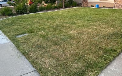 The Art and Science of Lawn Mowing in San Bernardino: Cultivating Healthy and Beautiful Lawns
